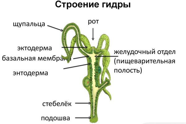 Кракен зеркало москва