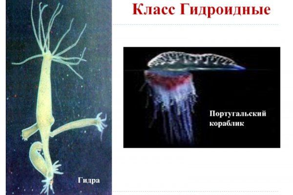 Рабочая ссылка на кракен
