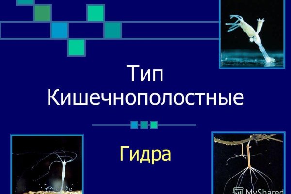 Какая ссылка на кракен