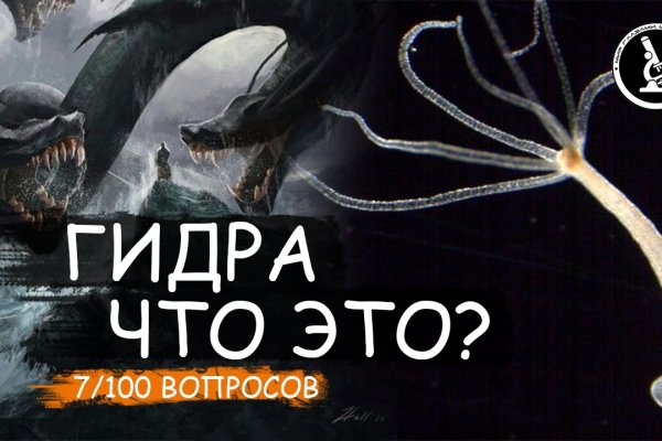 Ссылка кракен зеркало тор