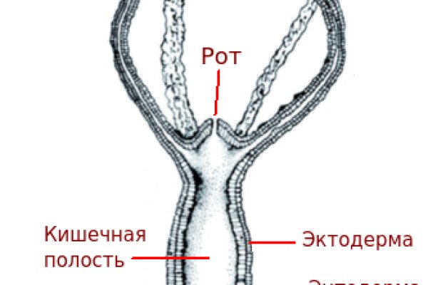 Ссылки мега кракен