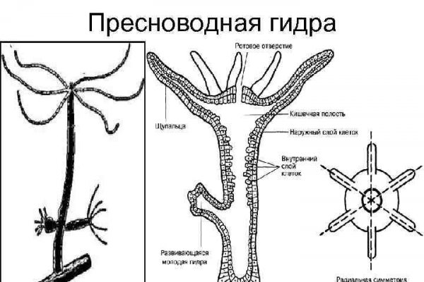 Кракен сайт ссылка тор браузере