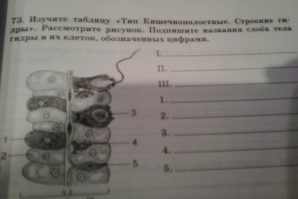 Кракен онион тор