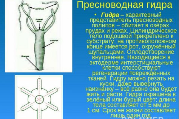 Рабочие ссылки и зеркала кракен